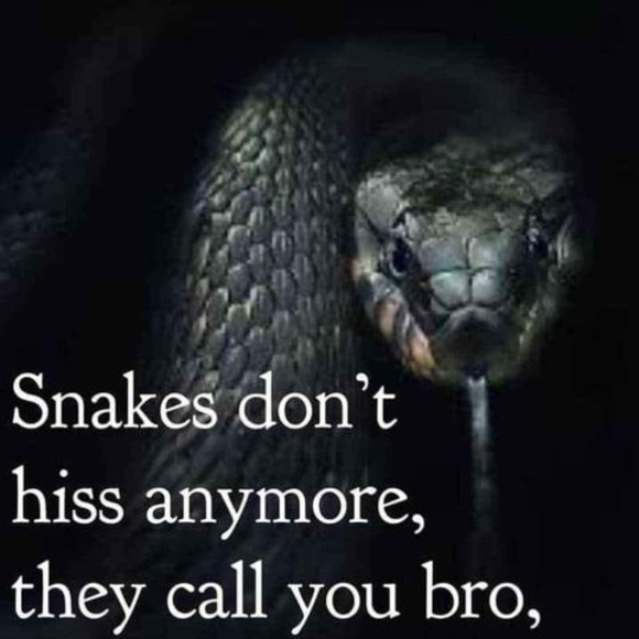 Meet your Posher, James - Picture 1 of 1